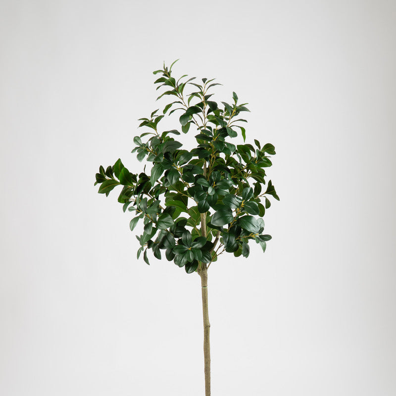 160cm Artificial Peperomia Tree
